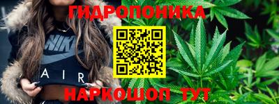 гашик Рыбинск