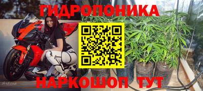 гашик Рыбинск
