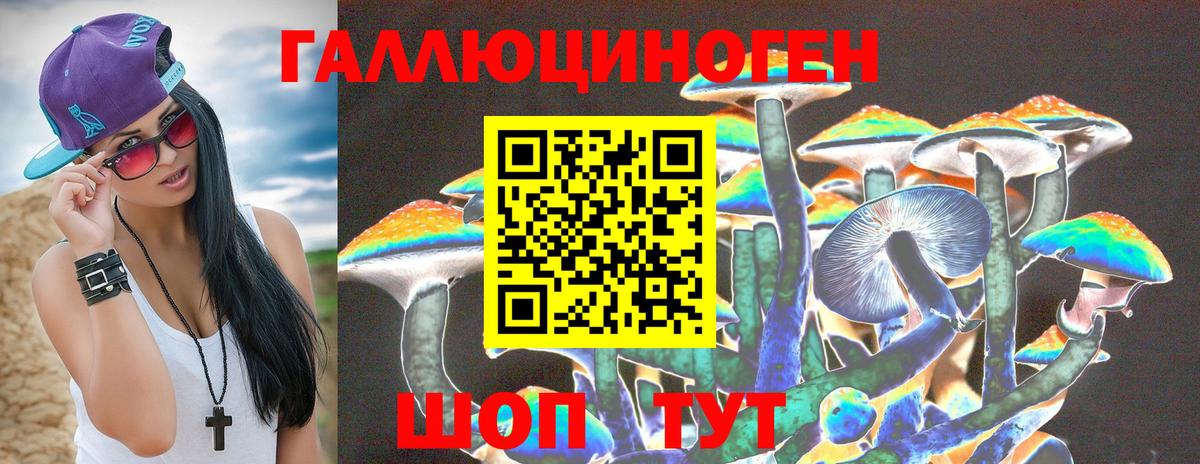 Аша  Галлюциногенные грибы GOLDEN TEACHER  Вход с VPN  Псилоцибиновые грибы Psilocybine cubensis 