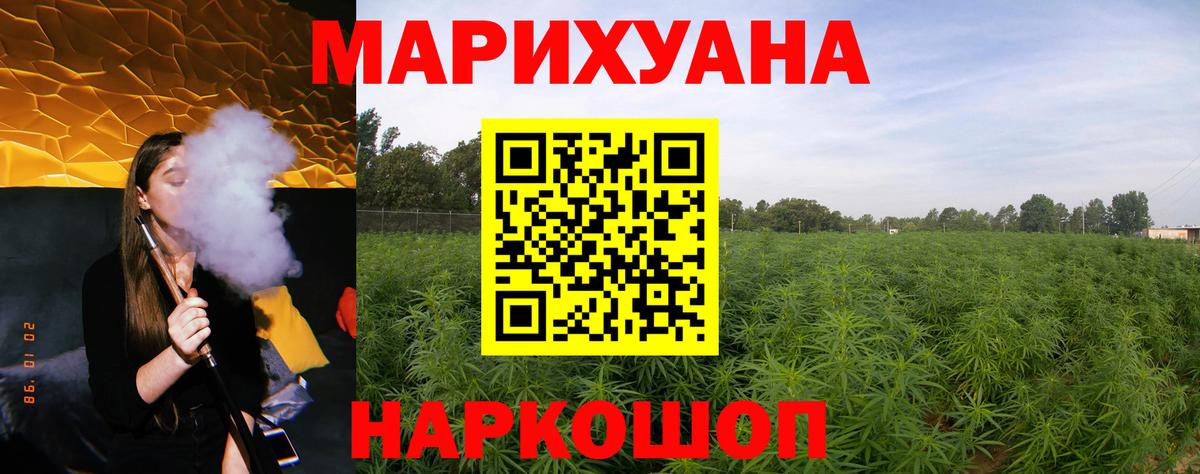 Бошки марихуана конопля  Марихуана семена  Вход с VPN  Бошки Шишки SATIVA & INDICA  Бошки Шишки индика  Аша 